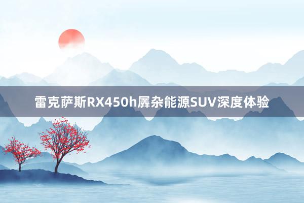 雷克萨斯RX450h羼杂能源SUV深度体验